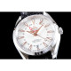 OMEGA 오메가 아쿠아테라 GMT-17 231.13.43.22.02.004