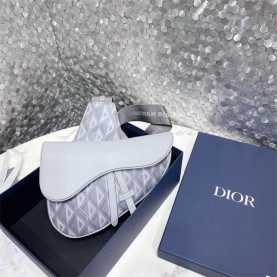DIOR 디올 오블리크 새들백 M9922 